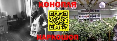 твердый Гай