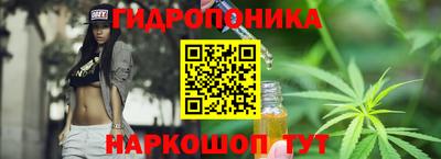 твердый Гай