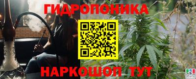 таблы Гатчина