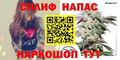 твердый Гай
